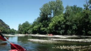 L Ostal de Benjamin 2015-07-10Canoë sur la Dordogne (30)